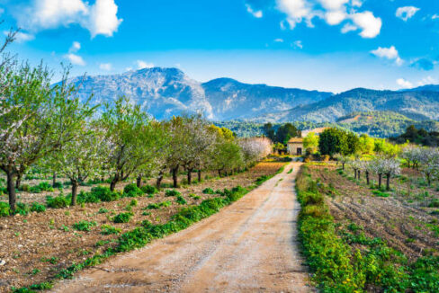 Beautiful spring day with idyllic island scenery on Mallorca, Spain